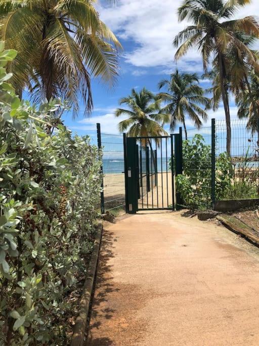Soleiade Le Gosier - Acces Plage Kültér fotó